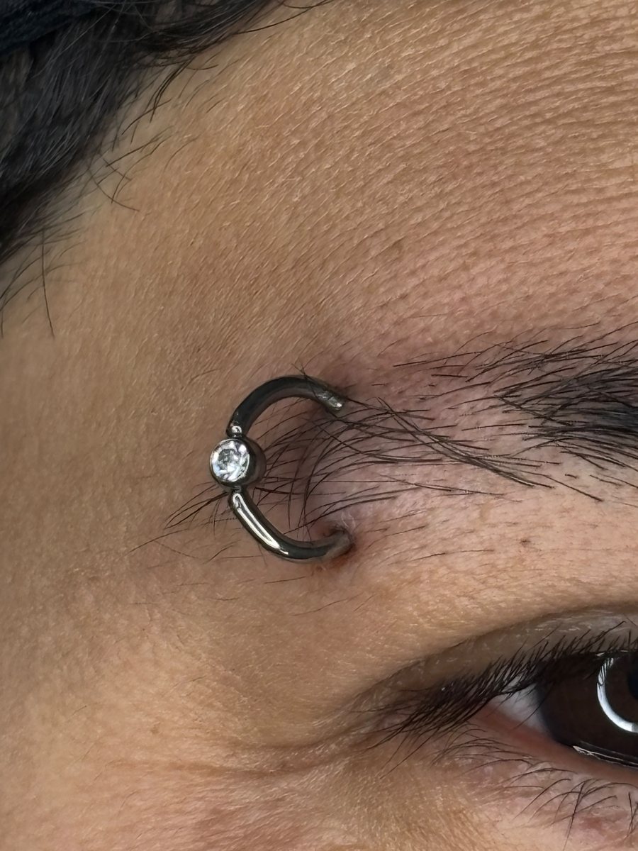 Piercing na sobrancelha com D-ring em titânio G23